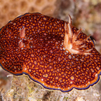 20190901- RSAIId1d3-38.jpg