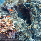 20190904- RSAIId4d286.jpg