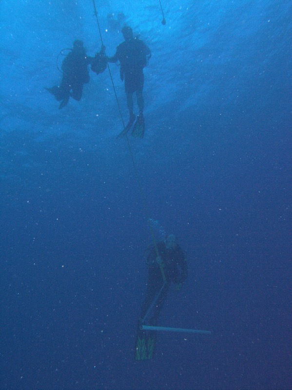 TCID6 8-17-2007 10-27-19 AM.jpg