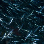 2015-09-21 TCI 155.jpg