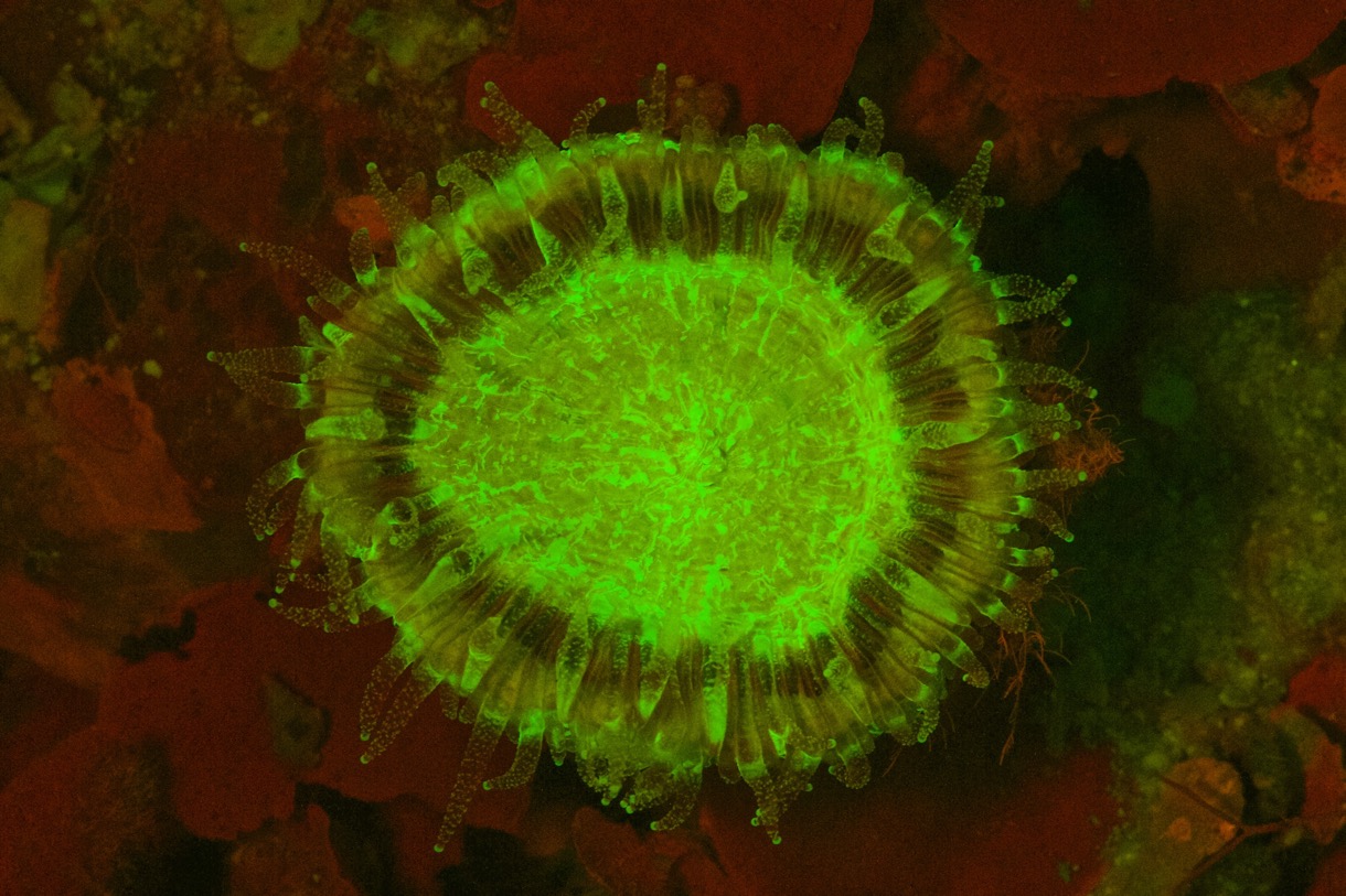 2015-09-21 TCI 279.jpg