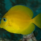 2015-09-22 TCI 327.jpg