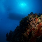 2015-09-22 TCI 350.jpg