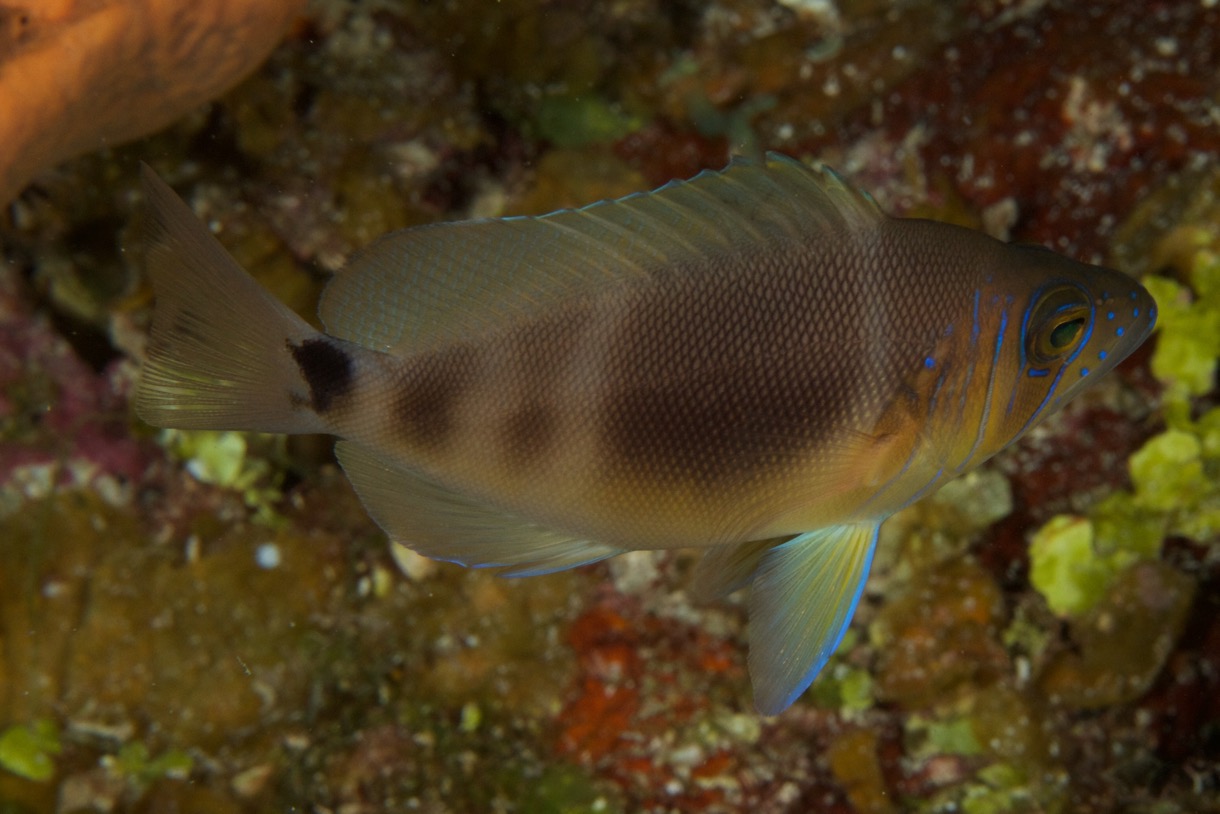 2015-09-24 TCI 592.jpg