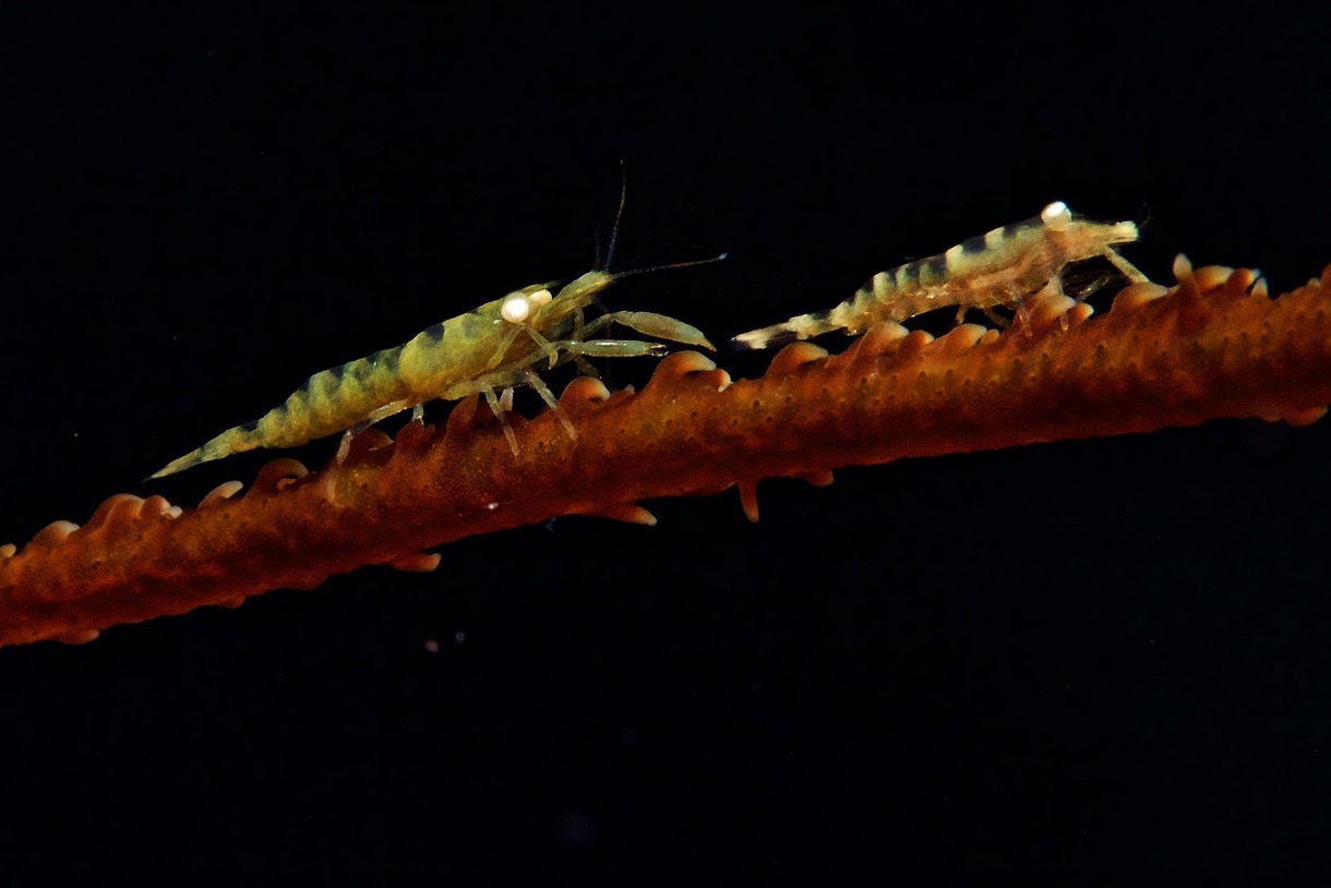 2015-09-24 TCI 598.jpg