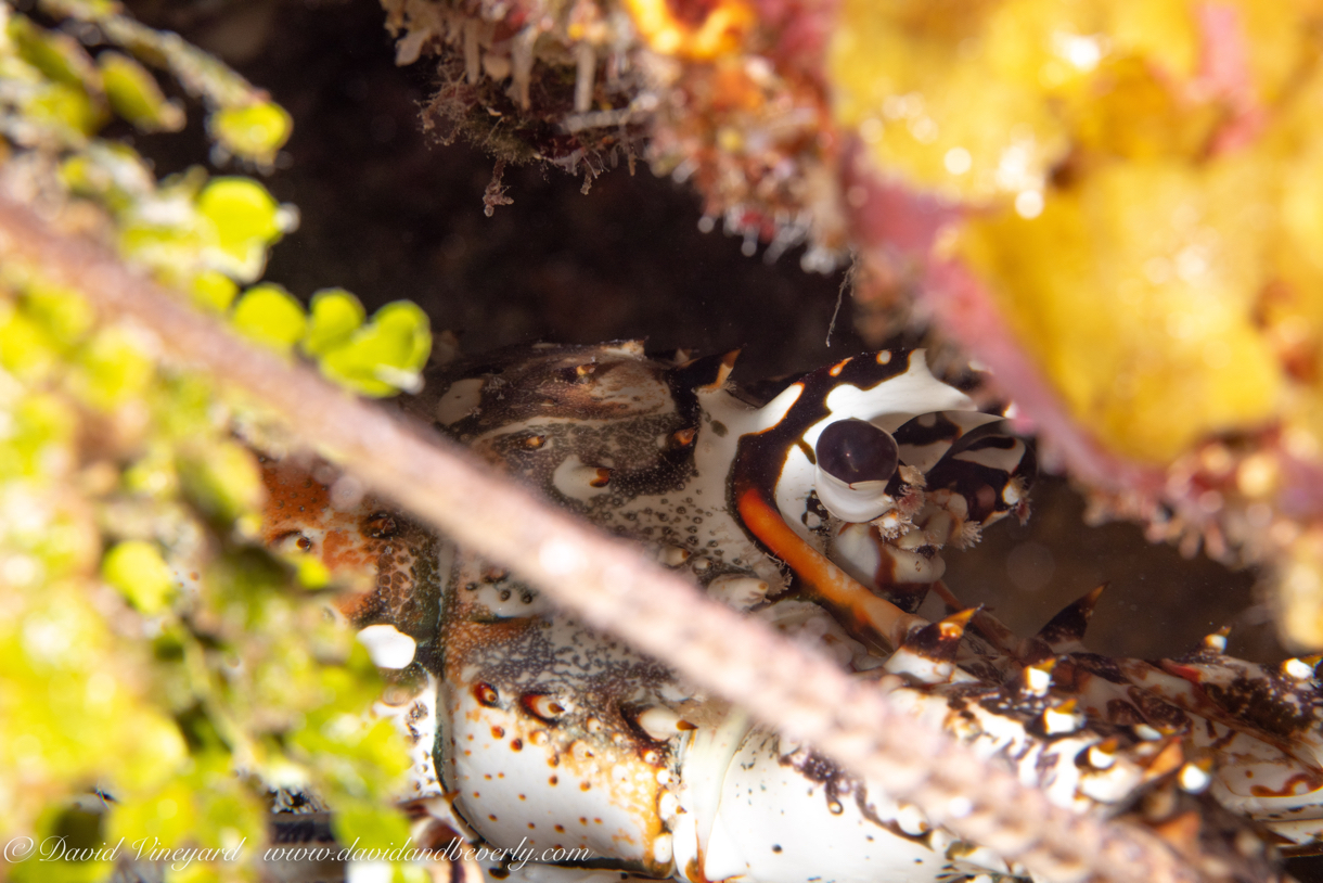 20190428- TCI d1d1-15.jpg
