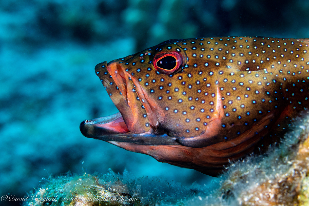 20190428- TCI d1d1-27.jpg