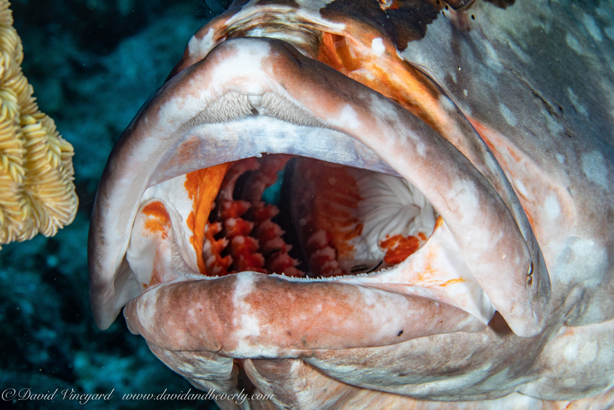 20190502- TCI d5d3-42.jpg
