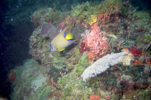 WPB700_018.jpg