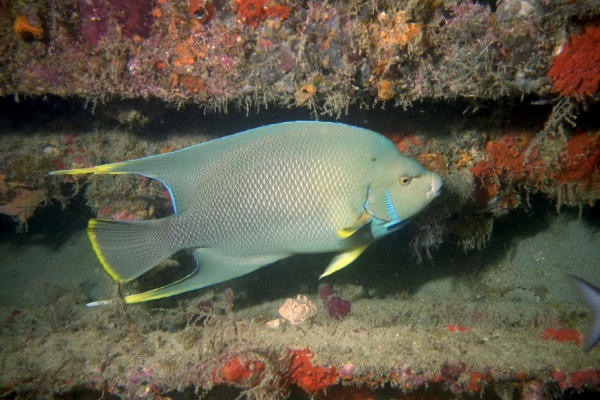 WPB900_011.jpg
