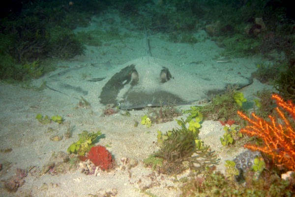 WPB900_014.jpg