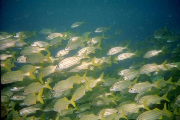 WPB900_021.jpg