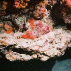 WPB04028.jpg