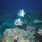 WPB04076.jpg