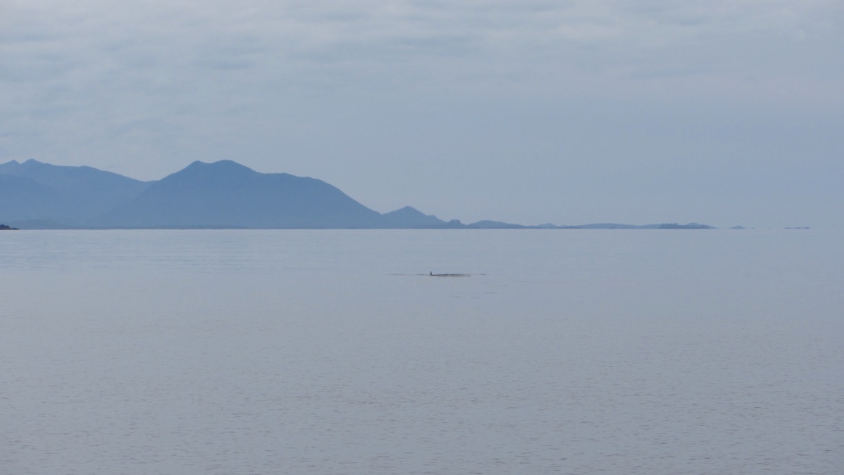 2015-07-01 Alaska 2015 402.jpg