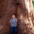 2010-07-23 SequoiaNatPark 023.jpg