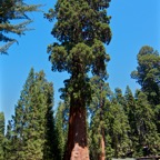 2010-07-23 SequoiaNatPark 028.jpg
