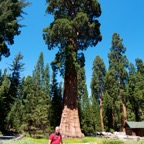 2010-07-23 SequoiaNatPark 030.jpg