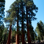2010-07-23 SequoiaNatPark 039.jpg