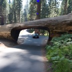 2010-07-23 SequoiaNatPark 046.jpg