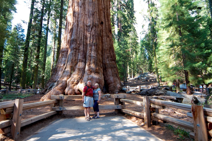 2010-07-23 SequoiaNatPark 165.jpg