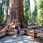 2010-07-23 SequoiaNatPark 165.jpg