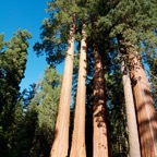 2010-07-23 SequoiaNatPark 180.jpg