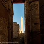 20190309-Luxor-69.jpg