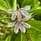 Vineyard_Maldives_Land_2020-31.jpg