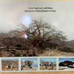 20191006- Salalah Oman 2019 -28.jpg