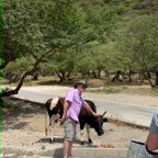 20191006- Salalah Oman 2019 -39.jpg