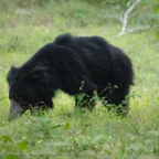 20190316- Wilpattu Sanctuary-201.jpg