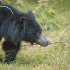 20190316- Wilpattu Sanctuary-222.jpg