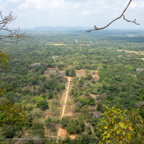 20190317- Sigiriya-53.jpg