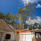 20190318- Stupas-43.jpg