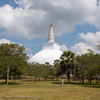 20190318- Stupas-49.jpg
