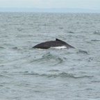 2016-08-02 WestCoast2016 27.jpg